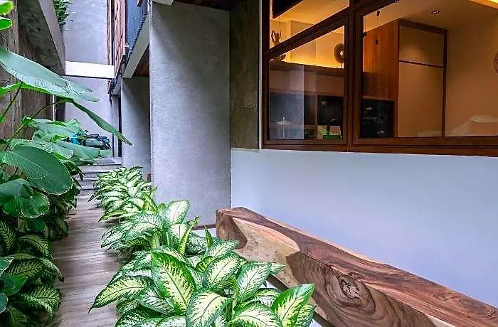 Kammora Living And - Invest Club